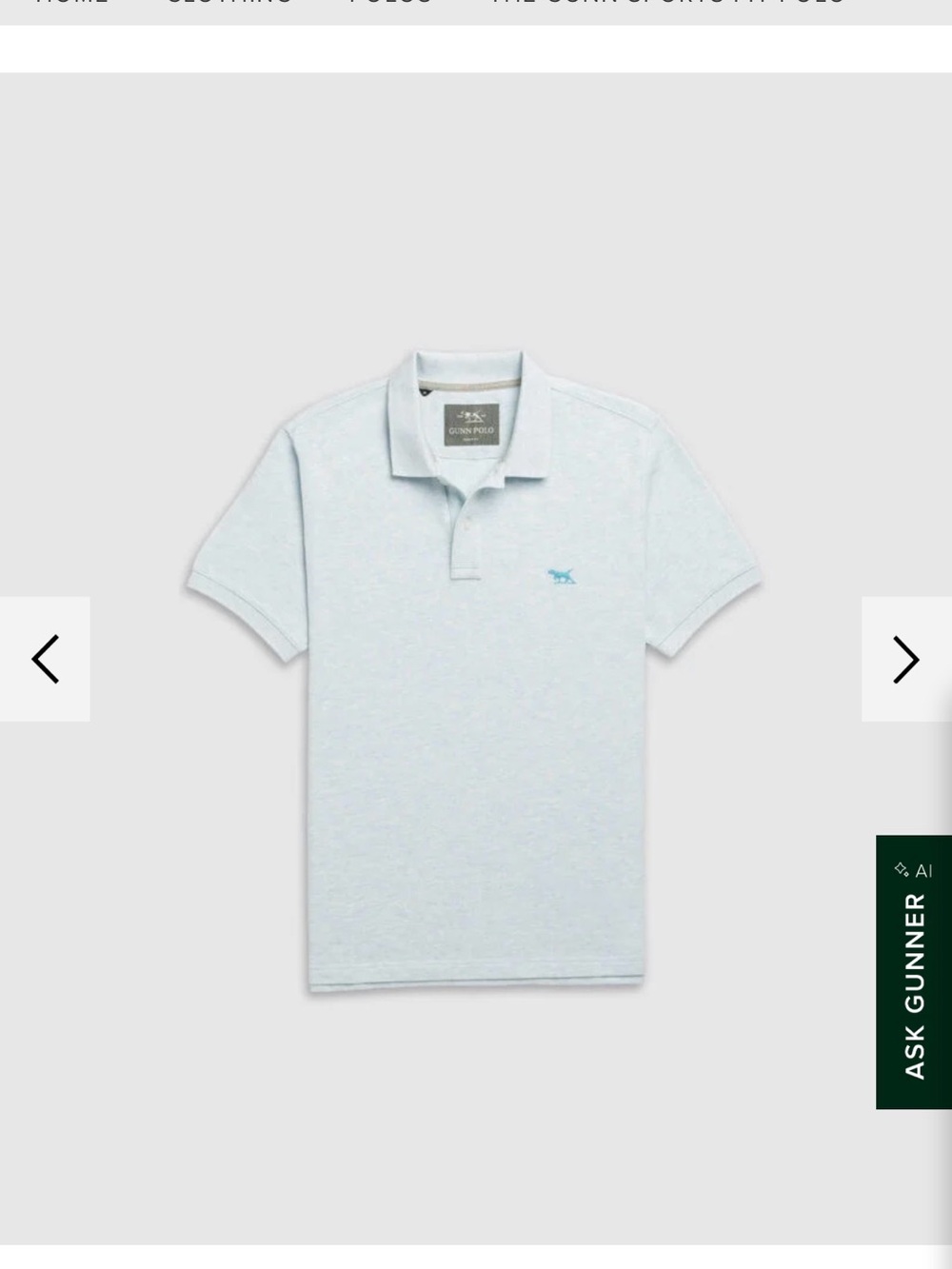 Rodd & Gunn Pale Blue Cotton Polo